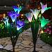 Outdoor Solar Stake Lights Wattne 2 Pack Solar Garden Lights with 8 Lily Flowers Waterproof 7 Color Changing LED Solar Stake Lights for Garden Pathway Christmas Decoration (Purple and White)