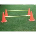 Carta Sport Cone Agility Ladder