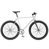 Single Speed Fixed Gear Bicycle by SolÃ© Bicycles- the Duke