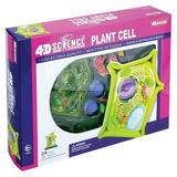 4D Science Plant Cell Anatomy Model