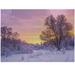 Ambesonne Forest Jigsaw Puzzle Landscape with Sunset Heirloom-Quality Fun Activity for Family Durable Cardboard 1000 pcs Pink White