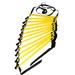 2M\-10M Agility Ladder Stairs Nylon Straps Training Ladders Agile Staircase for Fitness Soccer Football Ladder Yellow 10M