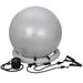 ZENY Portable 25.6 Yoga Fitness Pilates Ball Stability Base Improve Balance Workout Poster for Home Gym