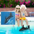 Herrnalise toys clearance Remote Control Shark Toys for 5+ Year Old Boys and Girls - Shark Toys Swimming Pool RC Boat Waterproof