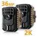 CAMPARK 2 Pack Trail Camera 36MP 2K HD Game Deer Hunting Camera with Infrared Night Vision 65FT Motion Activated Waterproof IP56 120Â°Wide-Angle 2.0 LCD Trail Cam for Wildlife Monitoring