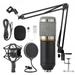 Condenser Microphone Bundle Mic Kit with Adjustable Mic Suspension Scissor Arm Metal Shock Mount and Double-layer Pop Filter