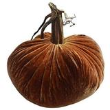 Plush Pumpkin - Classic Velvet - Spice - 8