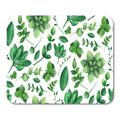 Greenery Garden Pattern Nature Summer Background Green Modern Watercolour Anniversary Mousepad Mouse Pad Mouse Mat 9x10 inch