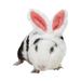 Pet Guinea Pig Hat Cute Bunny Hat with Rabbit Ears Accessories Headwear Animal-Safe Materials and Adjustable