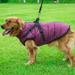 Keimprove Pet Dogs Cats Warm Jacket Coat With Harness Windproof Anti Snow Winter Autumn Pet Dog Cat Padded Thick Coat Clothes for Small Medium Large Dogs Go Out Vest Pet Outfits