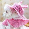 Round Brim Princess Cap Visor Hat Pet Dog Lattice Sun Cap with Ear for Small Extra Small Dog Teddy Pug Chihuahua Shih Tzu Yorkshire Terriers Papillon