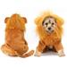 COUTEXYI Dog Lion Costume for Dogs Clothes Pet Halloween Cosplay Dress Party Dressing up Dogs Cats