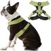 Gooby Comfort X Harness Dual Snap - Green Medium - Comfort X Harness Dual Snap Rotational Buckles with Patented Choke-Free X Frame - Harness for Small Dogs and Medium Dogs for Outdoor Use