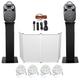 DJ Package w/Dual 8 Bluetooth Speakers+Mic+Tripod+Totem Stands+FaÃ§ade + Lights