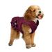 Christian Siriano Dog Clothes Quilted Dog or Cat Jacket Purple XS