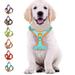 HANI Dog Harness- No Pull Step-in Small Dog Harness with Quick Release Buckle - Dog Harness for Small Dogs or Medium Dog Harness for Indoor and Outdoor Useï¼ŒReflective Easy Control Blue XL