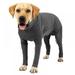 Dog Tight Clothes Pure Color Dog Jumpsuit Four-Legged Pajamas Coat Nursing Belly Weaning Clothes Bodysuit Home Wear