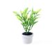 JETTINGBUY New 1/12 Green Plant in white pot Dollhouse Miniature Garden Accessory