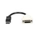 STARTECH DP2DVI DisplayPort to DVI 6 ft. Black