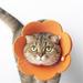 Cat Elizabethan Recovery Collar - Cat Cones After Surgery Adjustable Cat Dog E Collar with Sunflower Surgery Recovery Elizabethan Collars for Puppy Kitten Cats Dog Orange