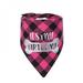 Dog Birthday Bandana Pet Birthday Gift Decorations Soft Scarf for Party Accessory