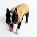Pet Clothes Cozy Winter Dog Pet Jacket Vest Warm Pet Outfit Clothes for Small Medium Large Dog
