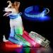 Deago LED Dog Collar Leopard USB Rechargeable Glowing Pet Safety Collar Adjustable Light Up Collars for Small Medium Large Dogs (Blue S)