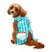 Birthday Stripe Vest Pet Costume