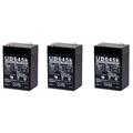 UPG UB645 Sealed Lead Acid Batteries - 3 Pack