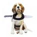 Halloween Cute Pet Clothes Costume for Halloween Cosplay Cat Dog Halloween Party for Pet Supplies