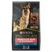 Purina Pro Plan Large Breed Adult Sensitive Skin and Stomach Salmon with Probiotics Recipe Dry Dog Food 35 lb. Bag