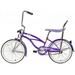 Wonder Wheels 20 In. Beach Cruiser Lowrider Coaster Brake Single Speed Bicycle Bike With Banana Seat Stainless Steel Spokes One Piece Crank Alloy Rims 36 H - Purple