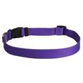 Yellow Dog Design Purple Simple Dog Collar 3/8 Wide and Fits Necks 4 to 9 Teacup