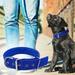 pet dog collar adjustable nylon dog collar heavy duty metal buckle dog collar traction collar dog cats collar glasses photo props