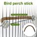 gotofar Parrot Perches U Shape Easy Installation Natural Wood Parrot Stand Perch Platform Bird Supplies