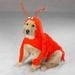 Pet Pals ZA540 12 Casual Canine Lobster Paws Costume Sm