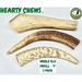 Hearty Chews - Premium ELK Antlers for Dogs Naturally Shed 100% Organic Grade A Antler Dog Chew Organic Teeth & Gum Cleaner Long Lasting Treat from Rocky Mountains - SMALL 3 PACK (About 4 inches)