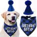 Pet Dog Cat Birthday Party Costume Set Pet Birthday Hats for Dogs Party Hats