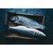 Two Fishes Poster Print - Aleksandrova Karina (36 x 24)