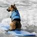 Dog Life Jacket Pet Life Safety Vest for Swimming Boating Dog Life Jackets Dog Lifesavers Swimsuits for Pool Dog Water Floatation Vest /Adjustable Belt Dogs