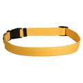 Yellow Dog Design Goldenrod Simple Dog Collar 3/8 Wide and Fits Necks 4 to 9 Teacup