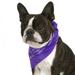 Balec Set of 6 Paisley Cotton Bandanas for Dogs Fits Small Medium & Large (Purple)