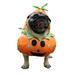 Xmarks Halloween Pumpkin Pet Costume for Party Fun for Outdoor