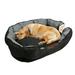 BingoPaw Orthopedic Sofa Couch Dog Bed Pillow Soft Bed Pet Basket for Dogs & Cats Extra Large