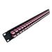 1U 48port High Density Patch Panel Loaded with LC Duplex Multimode OM4 Magenta Colored Adapters