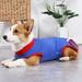 Hazel Tech//Pet Surgery Recovery Clothes Postoperative Care Clothes Nursing Clothes Anti-licking Pet Clothes Clothes Blue 3XL