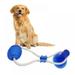 Promotion Pet Supplies Self-playing Rubber Ball Toy With Suction Cup Dog Interactive Molar Chew Toy Teeth Cleaning Tool