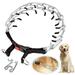 OUSITAID Dog Prong Collar Dog Pinch Training Collar with Quick Release Snap Buckle And Adjustable Length for Small Medium Large Dogs M (Weight: Around 50 lbs)