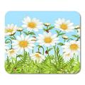 Vector Seamless Horizontal Background with Camomile White Flower and Green Mousepad Mouse Pad Mouse Mat 9x10 inch