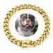 Didog Pet Dog Collar Necklace 35cm/45cm/55cm Heavy Duty Cuban Dog Chain for Large Dogs Strong Stainless Steel Metal Links Slip Chain Collar Gold(55cm/21.7 )